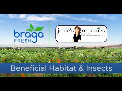 IPM – Beneficial Habitat and Insects